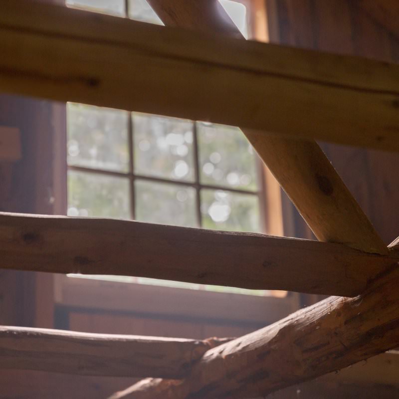 Ducktrap Wildlife Preserve - commercial photography