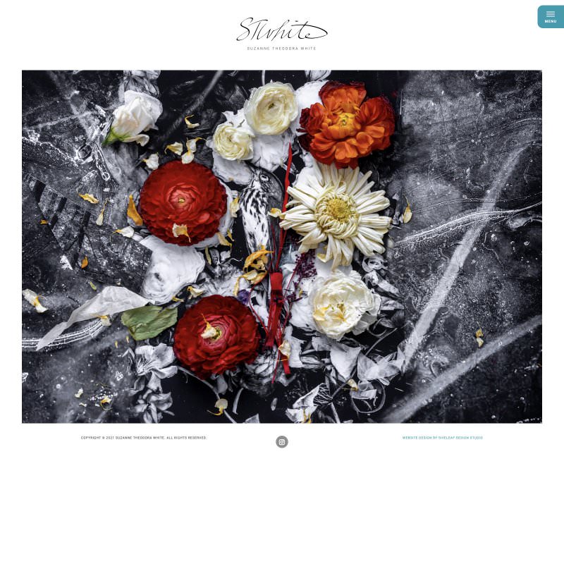 Suzanne Theodora White - web design